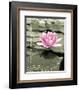 Love Lilly-null-Framed Photo