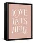 Love Lives Here-Beth Cai-Framed Stretched Canvas