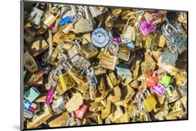 Love Locks at Pont De L'archeveche, near Notre Dame Cathedral-Guido Cozzi-Mounted Photographic Print