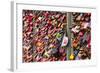 Love Locks on the Railway Bridge in Cologne, North Rhine-Westphalia, Germany, Europe-Julian Elliott-Framed Photographic Print