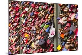 Love Locks on the Railway Bridge in Cologne, North Rhine-Westphalia, Germany, Europe-Julian Elliott-Mounted Photographic Print