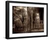 Love Lost-Stephen Arens-Framed Photographic Print