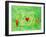 Love Maze, 2004-Julie Nicholls-Framed Giclee Print