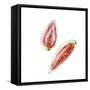 Love Me Fruit VI-Melissa Wang-Framed Stretched Canvas