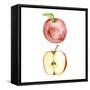 Love Me Fruit VIII-Melissa Wang-Framed Stretched Canvas