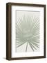 Love Nature-Melanie Viola-Framed Photographic Print