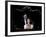 "Love Never Dies," The Sequel to the Phantom of the Opera, at the Adelphi Theatre in Central London-null-Framed Photographic Print