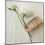 Love Note - Corsage-Camille Soulayrol-Mounted Giclee Print