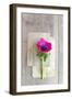 Love Note-Sarah Gardner-Framed Photographic Print