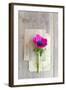 Love Note-Sarah Gardner-Framed Photographic Print