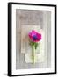 Love Note-Sarah Gardner-Framed Photographic Print