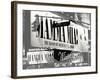 Love NY B&W Series - Mamma Mia The Musical - Winter Garden Theatre - Manhattan - New York - USA-Philippe Hugonnard-Framed Photographic Print