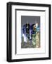 Love NY Series - Buildings of Times Square by Night - Manhattan - New York - USA-Philippe Hugonnard-Framed Art Print