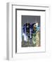 Love NY Series - Buildings of Times Square by Night - Manhattan - New York - USA-Philippe Hugonnard-Framed Art Print