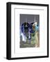 Love NY Series - Buildings of Times Square by Night - Manhattan - New York - USA-Philippe Hugonnard-Framed Art Print