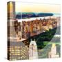 Love NY Series - Central Park at Sunset - Manhattan - New York - USA-Philippe Hugonnard-Stretched Canvas