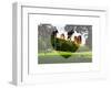 Love NY Series - Central Park - Manhattan - New York - USA-Philippe Hugonnard-Framed Art Print