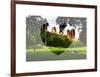 Love NY Series - Central Park - Manhattan - New York - USA-Philippe Hugonnard-Framed Art Print