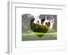 Love NY Series - Central Park - Manhattan - New York - USA-Philippe Hugonnard-Framed Art Print