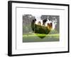 Love NY Series - Central Park - Manhattan - New York - USA-Philippe Hugonnard-Framed Art Print