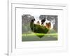 Love NY Series - Central Park - Manhattan - New York - USA-Philippe Hugonnard-Framed Art Print