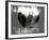 Love NY Series - Central Park Row Boat - Manhattan - New York - USA - B&W Photography-Philippe Hugonnard-Framed Photographic Print