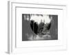 Love NY Series - Central Park Row Boat - Manhattan - New York - USA - B&W Photography-Philippe Hugonnard-Framed Art Print