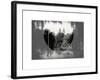 Love NY Series - Central Park Row Boat - Manhattan - New York - USA - B&W Photography-Philippe Hugonnard-Framed Art Print