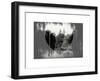 Love NY Series - Central Park Row Boat - Manhattan - New York - USA - B&W Photography-Philippe Hugonnard-Framed Art Print