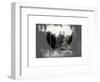 Love NY Series - Central Park Row Boat - Manhattan - New York - USA - B&W Photography-Philippe Hugonnard-Framed Art Print