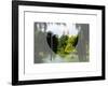 Love NY Series - Central Park Row Boat - Manhattan - New York - USA-Philippe Hugonnard-Framed Art Print