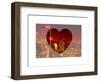 Love NY Series - Cityscape at Red Night with the New Yorker Hotel - Manhattan - New York - USA-Philippe Hugonnard-Framed Art Print