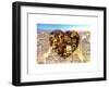 Love NY Series - Manhattan at Night - New York - USA-Philippe Hugonnard-Framed Art Print