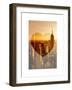 Love NY Series - Manhattan at Sunset - The Empire State Building - New York - USA-Philippe Hugonnard-Framed Art Print