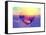 Love NY Series - Skyline of Manhattan at Sunset - New York - USA-Philippe Hugonnard-Framed Stretched Canvas