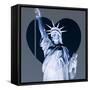 Love NY Series - The Statue of Liberty - Manhattan - New York - USA-Philippe Hugonnard-Framed Stretched Canvas