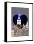 Love NY Series - Top of the Empire State Building at Night - Manhattan - New York - USA-Philippe Hugonnard-Framed Stretched Canvas