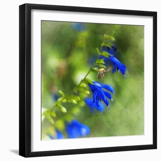 Love of Spring-Viviane Fedieu Daniel-Framed Premium Photographic Print