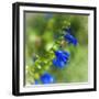 Love of Spring-Viviane Fedieu Daniel-Framed Premium Photographic Print