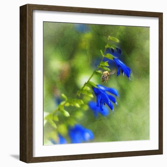 Love of Spring-Viviane Fedieu Daniel-Framed Photographic Print