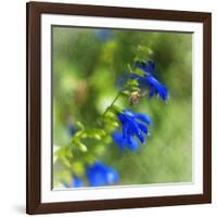 Love of Spring-Viviane Fedieu Daniel-Framed Photographic Print