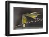 Love on Brach-Tomas Sereda-Framed Photographic Print