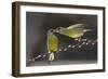 Love on Brach-Tomas Sereda-Framed Photographic Print