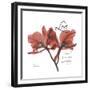 Love Orchid-Albert Koetsier-Framed Premium Giclee Print