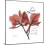 Love Orchid-Albert Koetsier-Mounted Premium Giclee Print