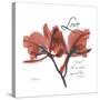 Love Orchid-Albert Koetsier-Stretched Canvas