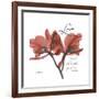 Love Orchid-Albert Koetsier-Framed Premium Giclee Print