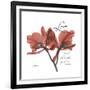 Love Orchid-Albert Koetsier-Framed Premium Giclee Print