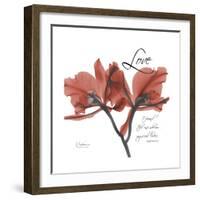 Love Orchid-Albert Koetsier-Framed Premium Giclee Print