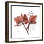 Love Orchid-Albert Koetsier-Framed Premium Giclee Print